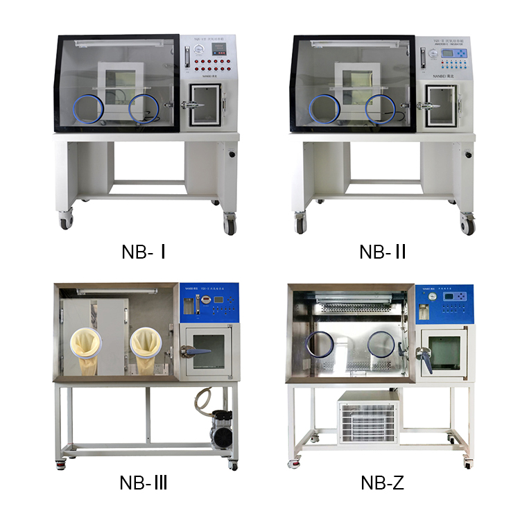 anaerobic incubator