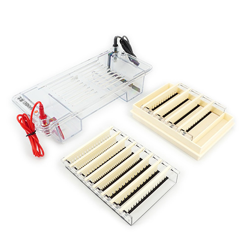 DYCP-33B Electrophoresis Cell