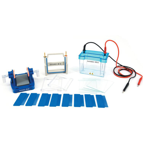 DYCZ-24DN Electrophoresis Cell